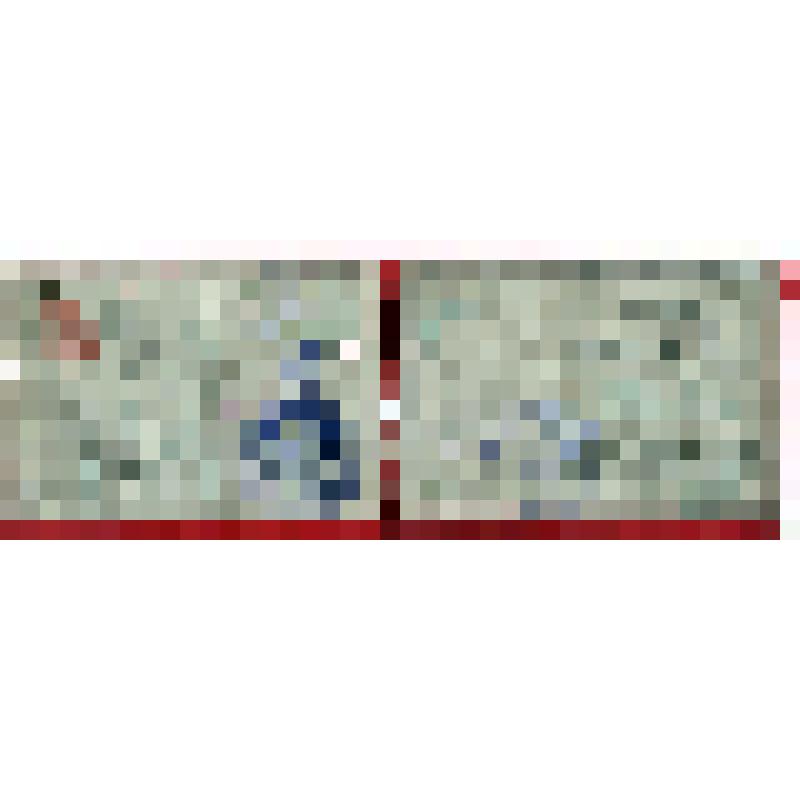 Билет N 1369/16 члена Московского Совета и билет N830 Ефимова И.А., члена фракции РКП(б) Московского Совета