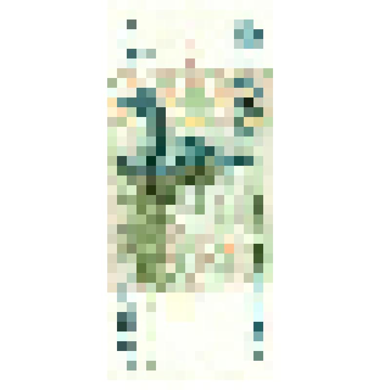 Бумажный денежный знак. Банкнота достоинством  5000 (Пять тысяч) рублей. Россия