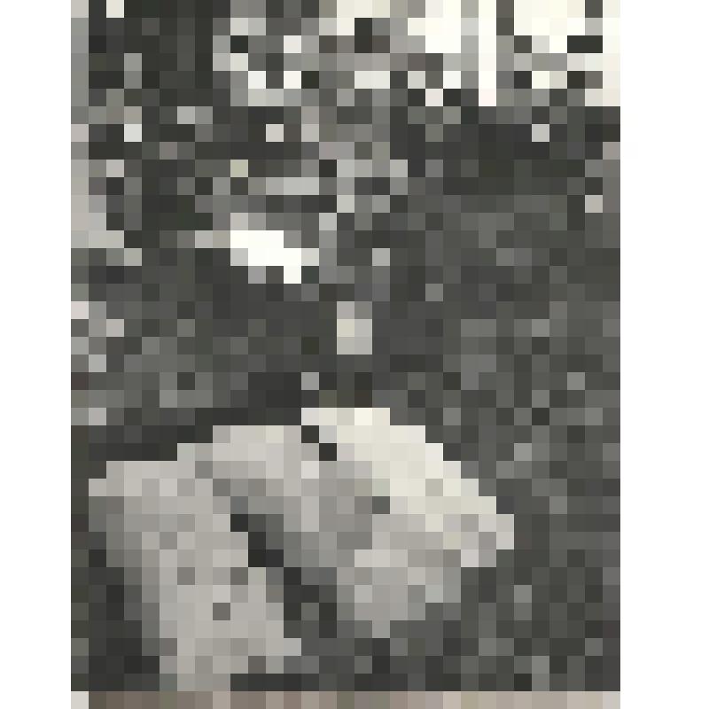 Фотография. Хантыйская девочка в дни проведения Международного финно-угорского фестиваля в д. Русскинская, 1993г