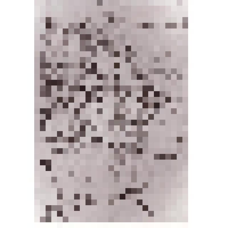 Альбом 3 гвардейской зенитно-артиллерийской дивизии. Фото 2