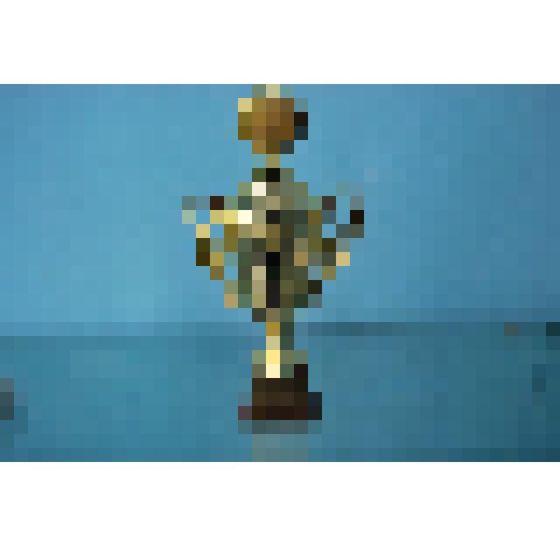 Кубок спортивный  переходящий по баскетболу среди мужчин, команд Бурейского района.п.Новобурейский. 2002год