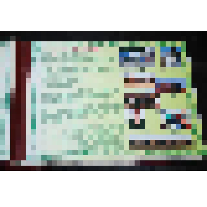 Фотоальбом «Эстафета труда и культуры», посвященный 450-летию добровольного вхождения Башкортостана в состав России (среди СПК)  30 стр