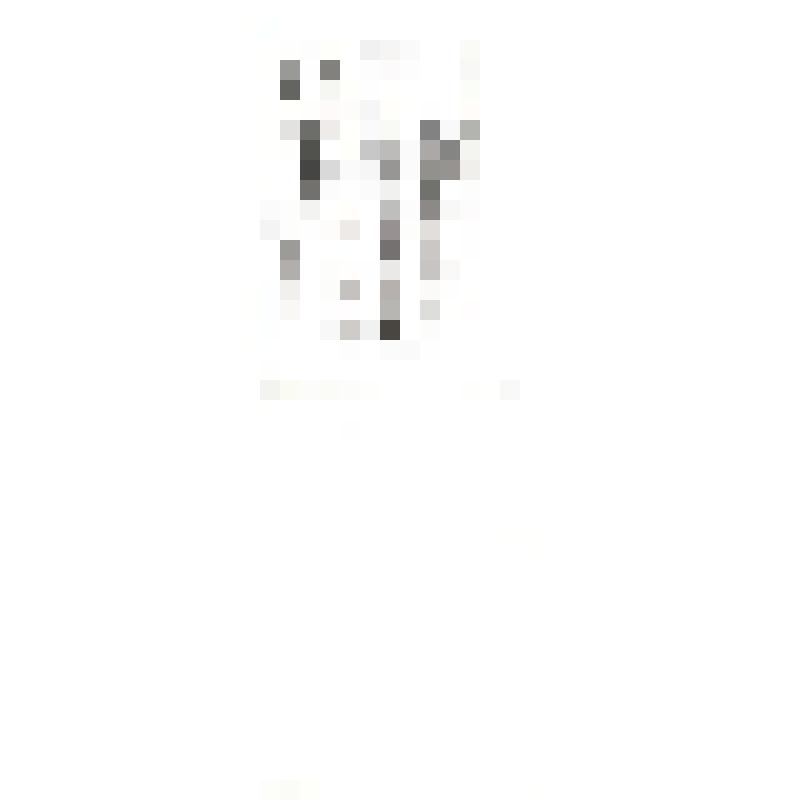 Поздравительный адрес. Тананаеву Петру Николаевичу, Герою Советского Союза, майору в отставке, уроженцу Пристенского района от Министра обороны СССР, Маршала Советского Союза А. Гречко