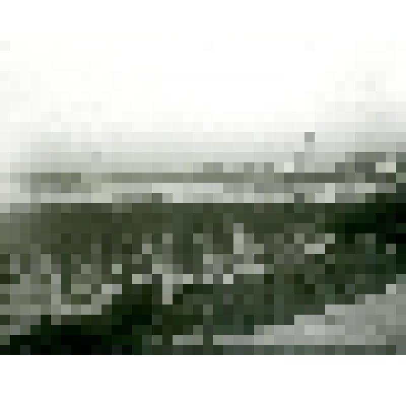 Фотография. Тундра, р. Мити