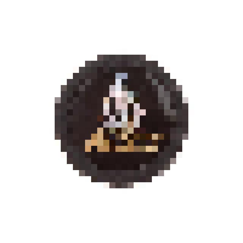 Значок "Сахалинский краеведческий музей"