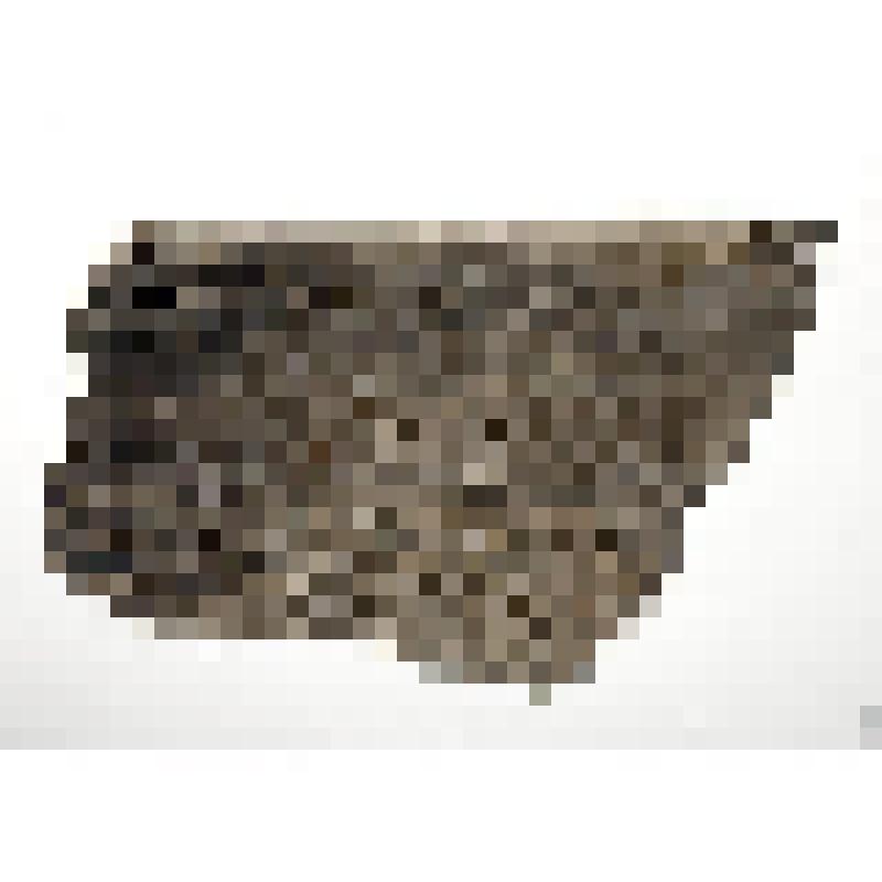 Фрагмент керамики. Мыс Столбчатый 1