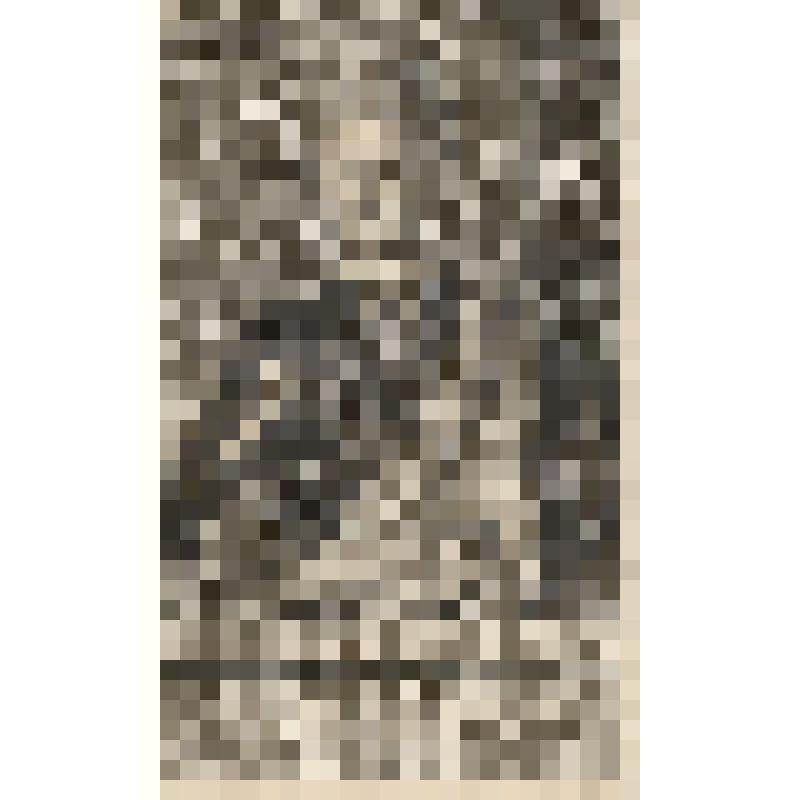 Иаков Генрих, граф фон Флемминг, иногда Якоб Генрих граф фон Флемминг (1667 - 1728), фонд западноевропейского  гравированного портрета