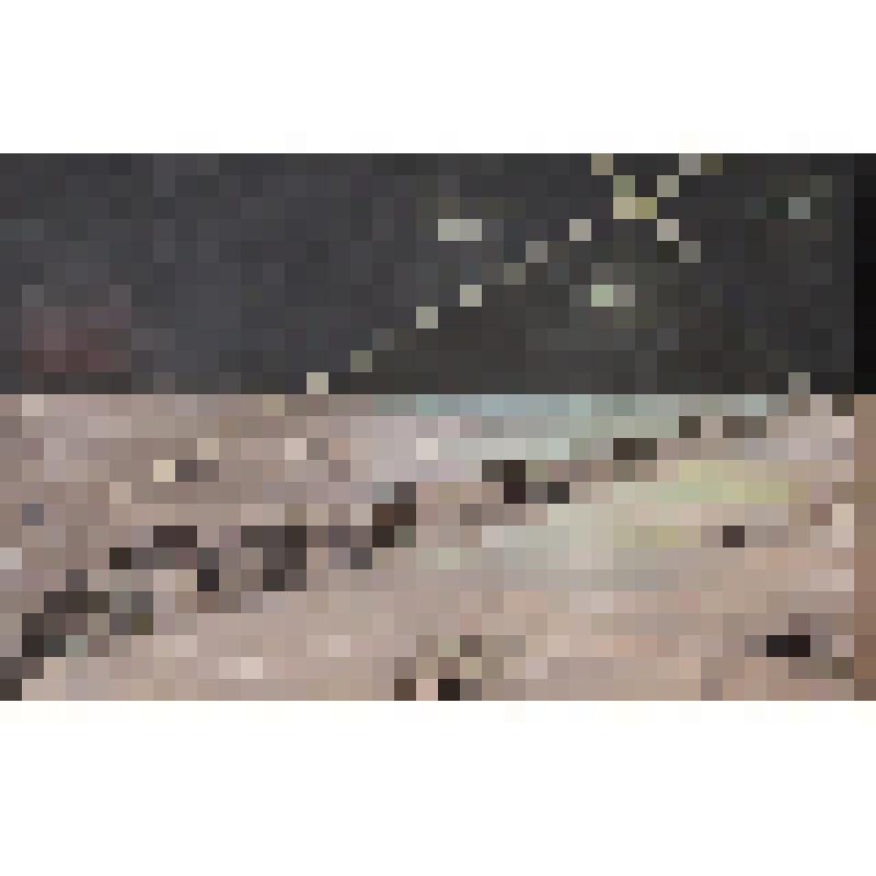 Картина. «Дорога жизни на Ладоге»