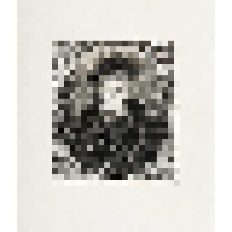 Портрет В.А. Жуковского. С гравюры Ф. Вендрамини (1817) с портрета О.А. Кипренского (1816. ГТГ)