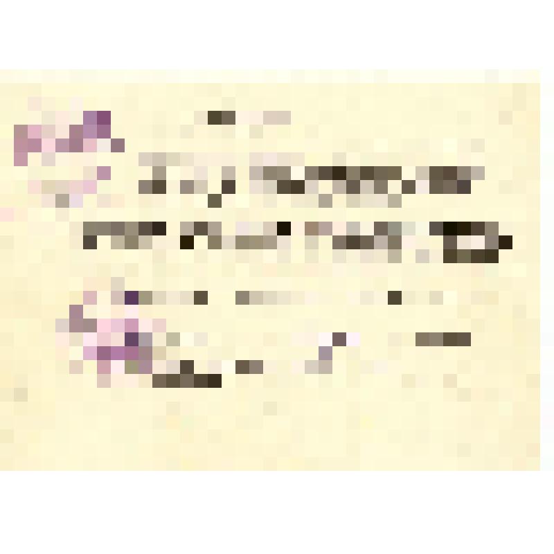 Документ. Удостоверение Федулова А.М. в том, что он утвержден членом районной плановой комиссии. 01.11.1958, с.Сургут