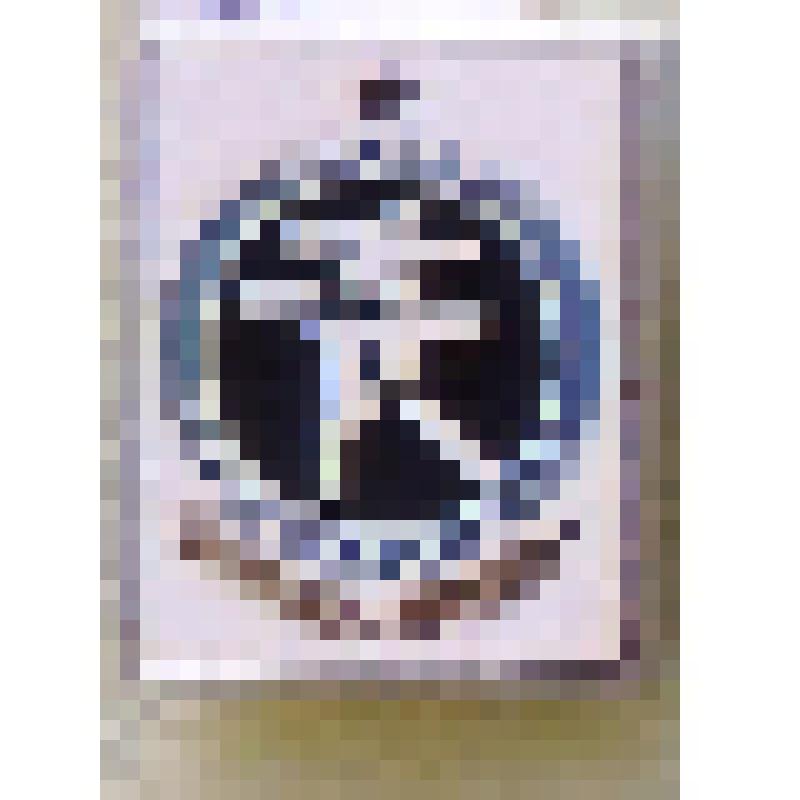 Значок. Игры доброй воли