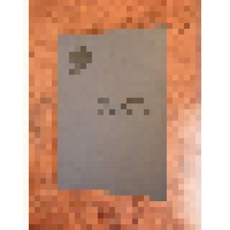 Трудовая книжка  Плюснина Игнатия Феоктистовича