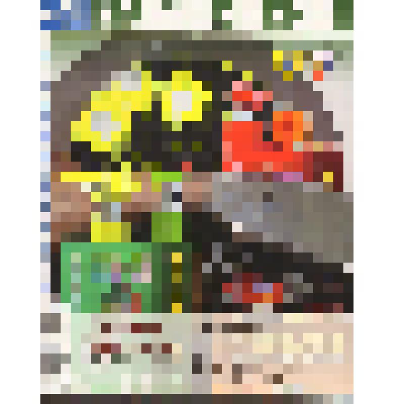 Журнал «Калашников» № 9/2011 г