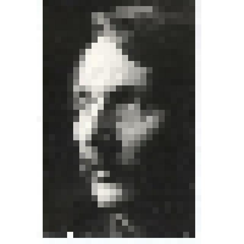 Ф/чб. Васильев Алексей Вадимович. Энгельсский художник, писатель. Энгельс. 2000