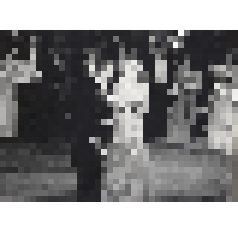 Фотография. Сцена из спектакля "Весёлая вдова" Легара (В. Тимошин в роли Графа Данило)