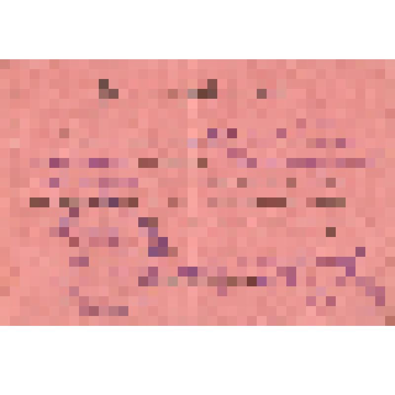 Билет делегатский