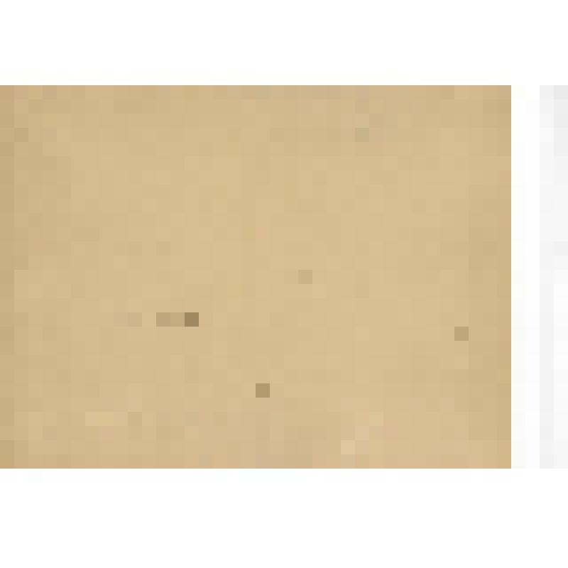 Фотография. Вид на Нижегородскую ярмарку в половодье от Благовещенского монастыря