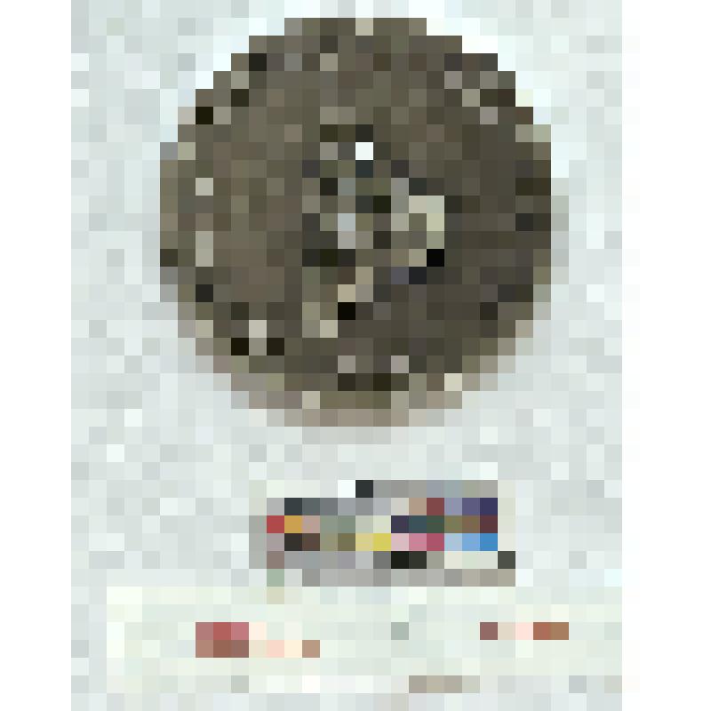 СССР. Медаль. Чемпионат мира по мотокроссу. 1964 г