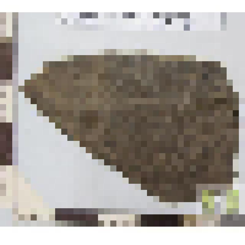 Стенки сосуда серго цвета фрагмент