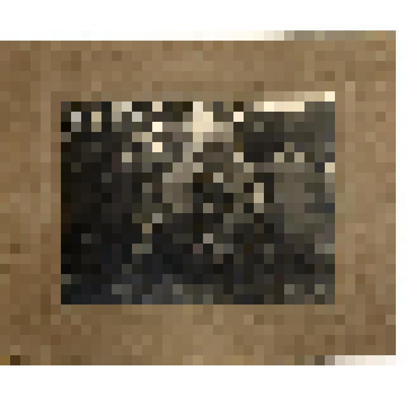 Фото. Группа молодых людей во дворе дома /первые комсомольцы г.Зарайска/ ; за их спиной здание водонапорной башни. 20-е годы ХХв