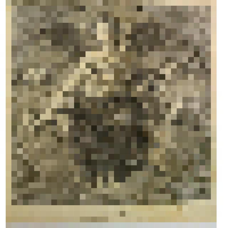 Аллегория Поэзии (по рисунку Бернардино Нокки с живописи Рафаэля Санти)