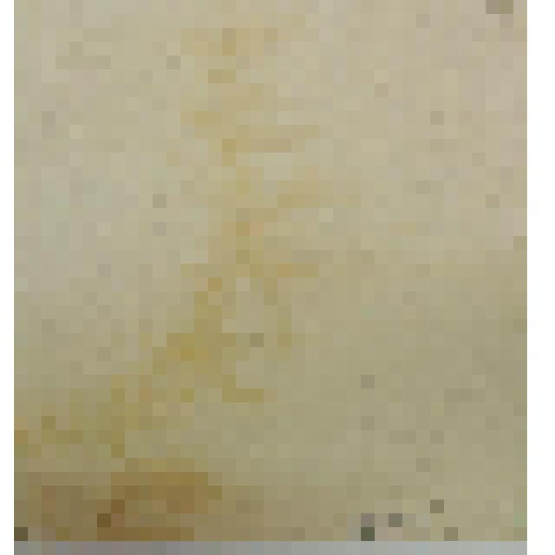 Аллегория Поэзии (по рисунку Бернардино Нокки с живописи Рафаэля Санти)