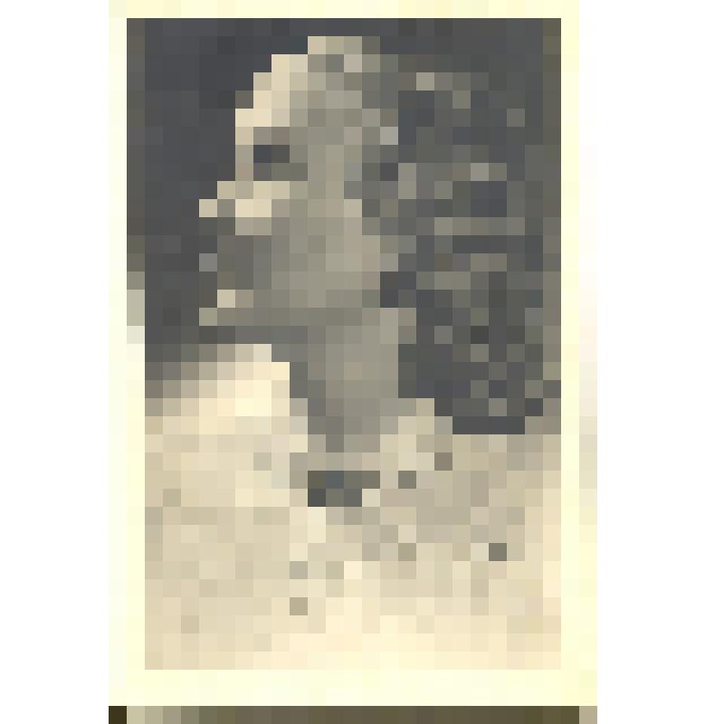 Набор почтовых открыток из 5 шт., ч/б