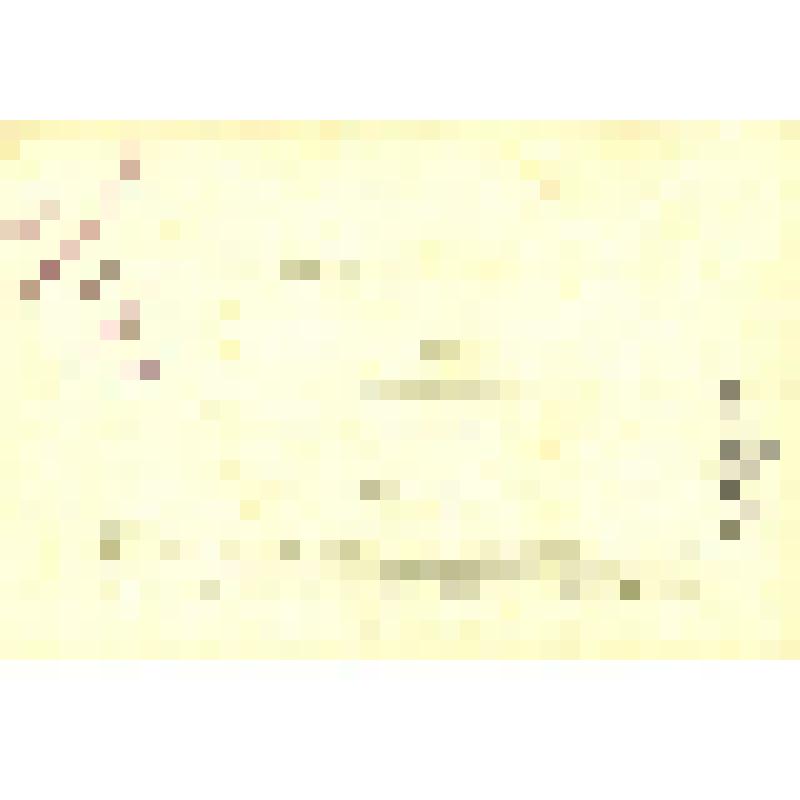 Набор почтовых открыток из 5 шт., ч/б