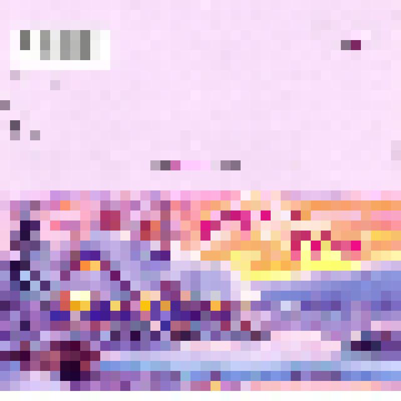 Открытка двойного сложения. С Новым годом!