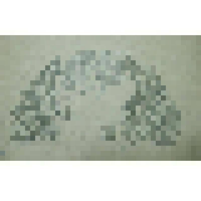 Орнамент. Проект декора шали. Рисунок