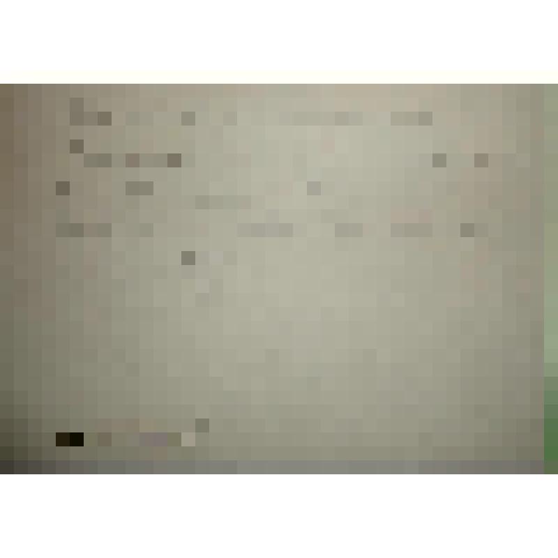 Фотография. Соликамск. Молебен по случаю начала первой мировой войны 1914 г