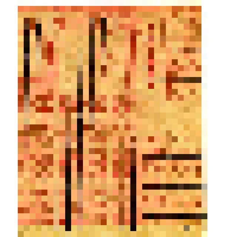 Документ. Карточка продовольственная с талонами на хлеб, жиры, крупы, сахар и кондитерские изделия  для рабочих первой категории