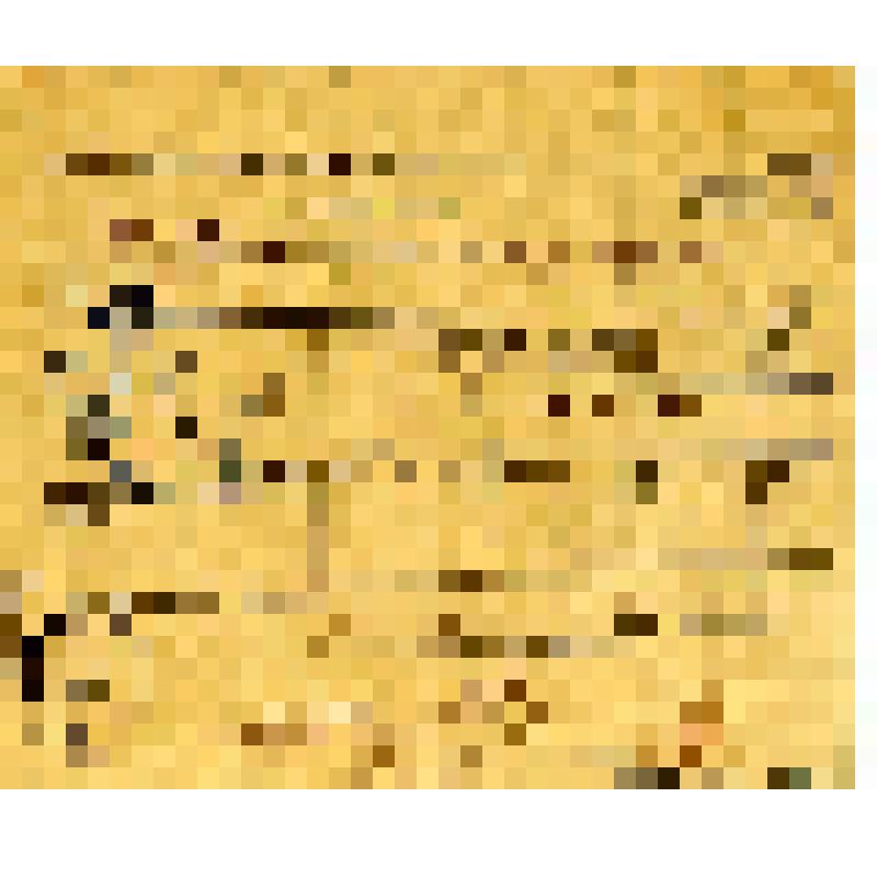 Документ. Карточка продовольственная с талонами на хлеб, жиры, крупы, сахар и кондитерские изделия  для рабочих первой категории