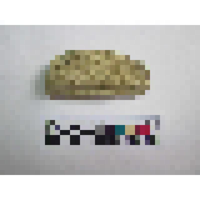 Грузило из ручки амфоры типа D