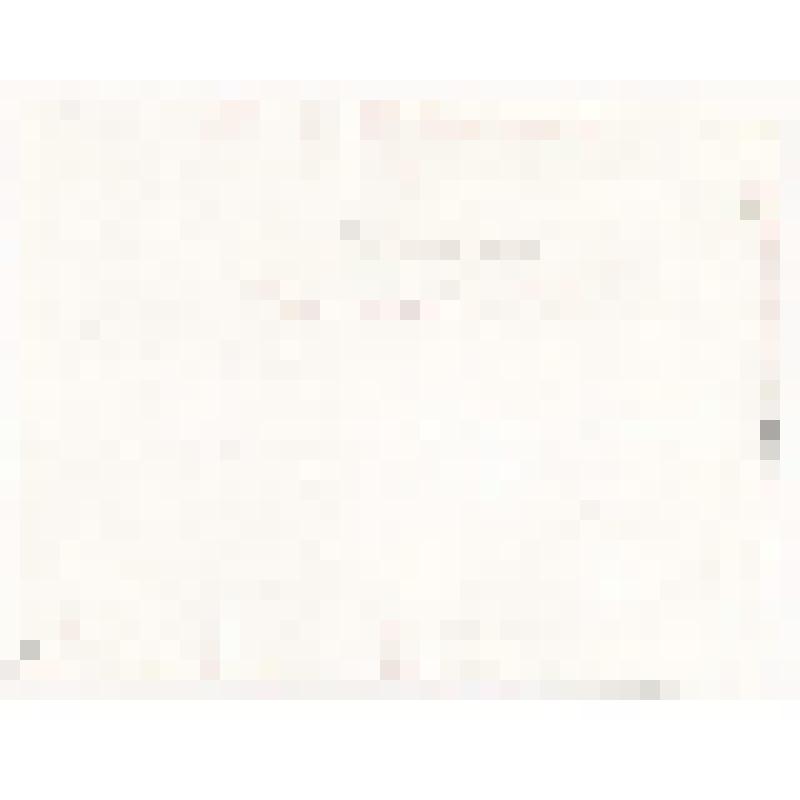 Фотография. Фестиваль политической песни