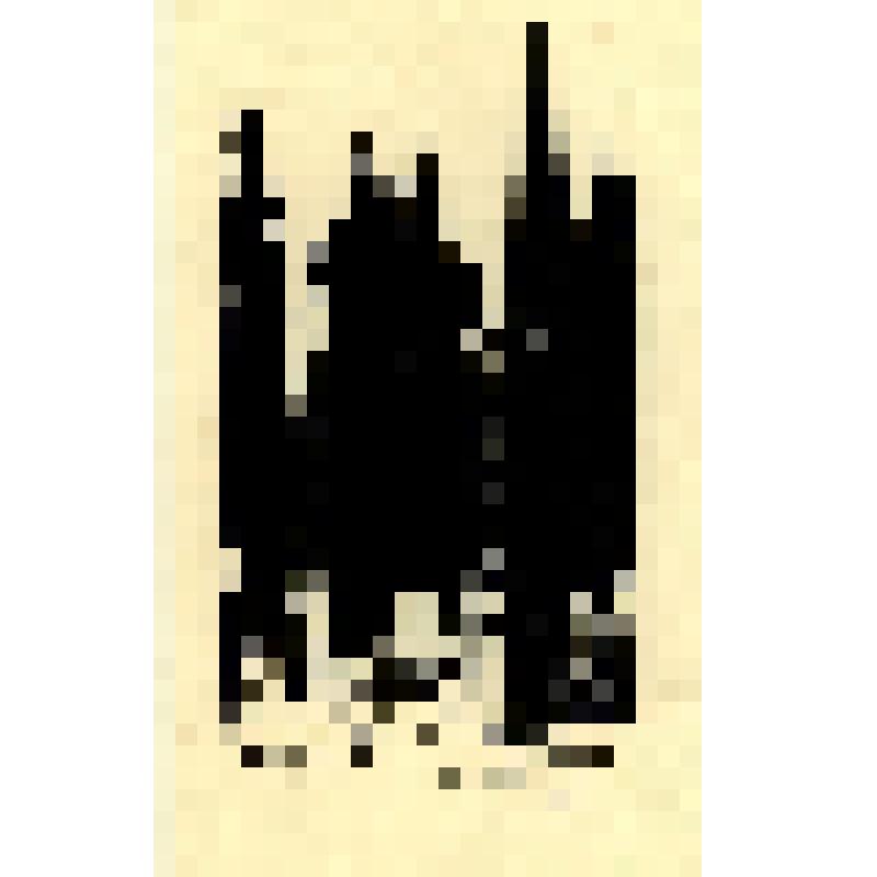 Кипарисы на кладбище. Оттиск из журнала «Мир искусства» т. VIII. 1902 год (№№ 7-12)