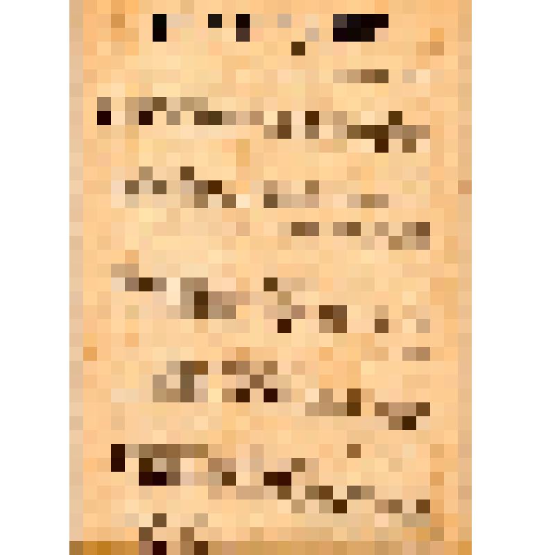 Временный комитет по организации охраны домов Мясницко-Яузского района. Граждане