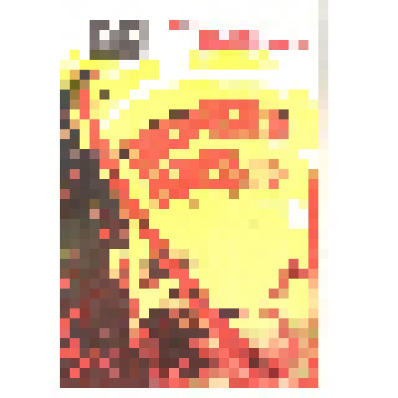 Программа  премьерного спектакля "Первая конная" Ростовского драматического театра им. М. Горького