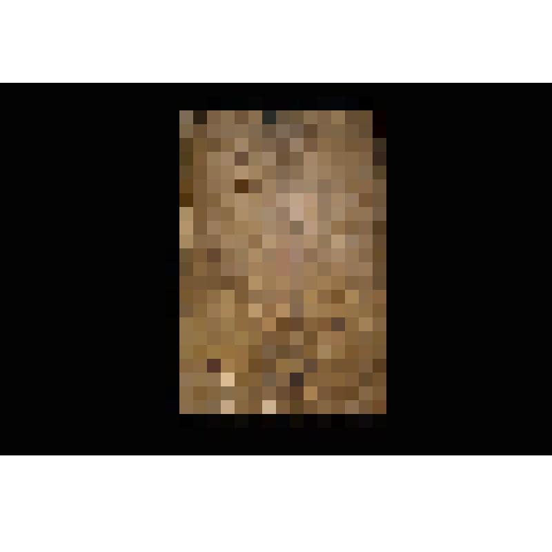 Книга старопечатная. Арифметика.  М., Печатный двор,1703