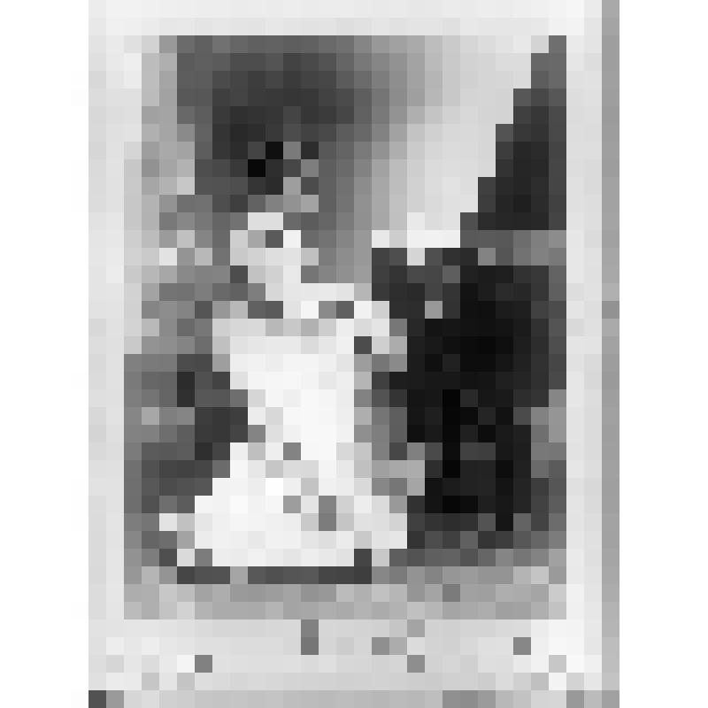 Негатив. Пиманова В. 1855-1942 гг.
Пианистка