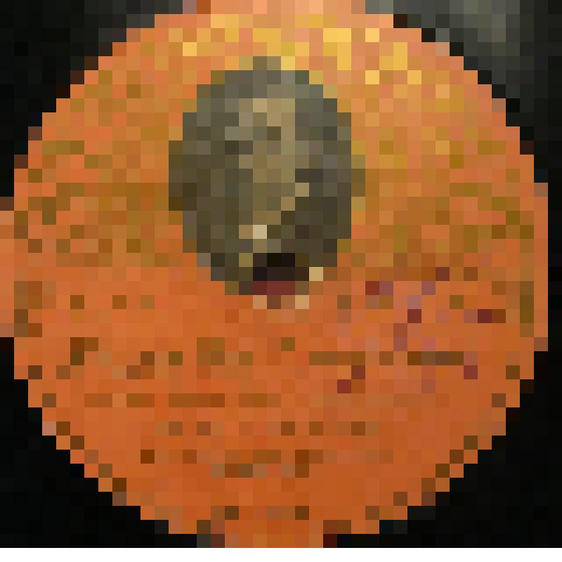 Грампластинка. 1. Ария Руслана. Опера  "Руслан и Людмила" Глинки М. Исполняет Петров В. Р.  2. Песня Галицкого. Опера "Князь Игорь" Бородина А. Исполняет Петров В. Р