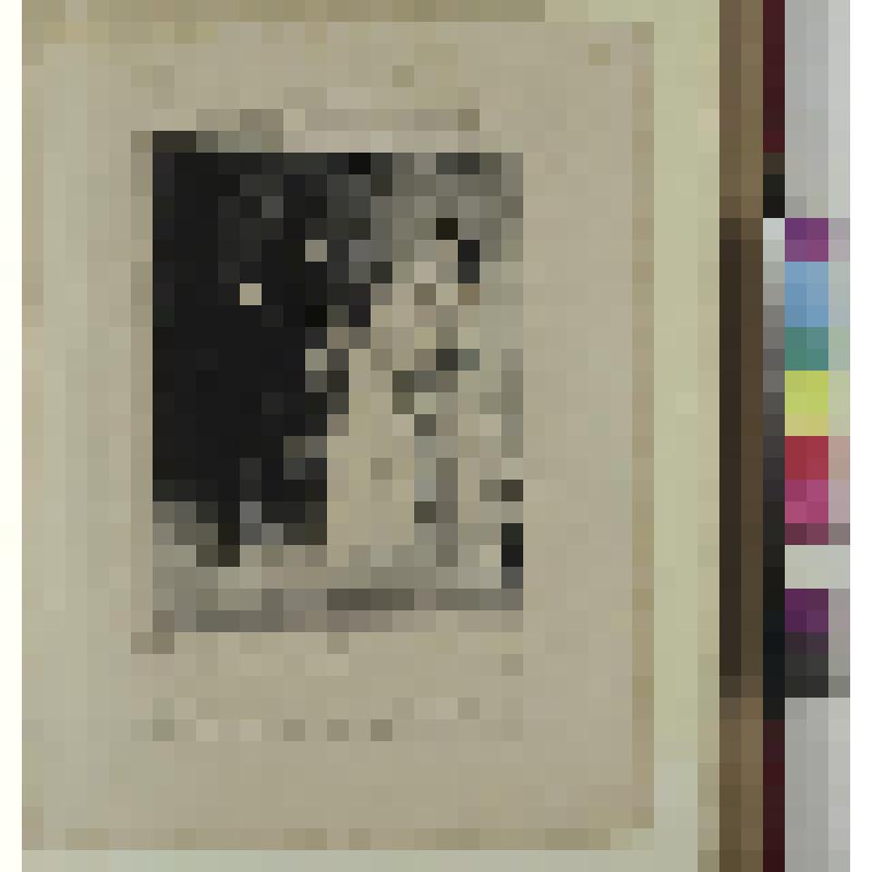 Лист из серии "Уроки и советы". литография