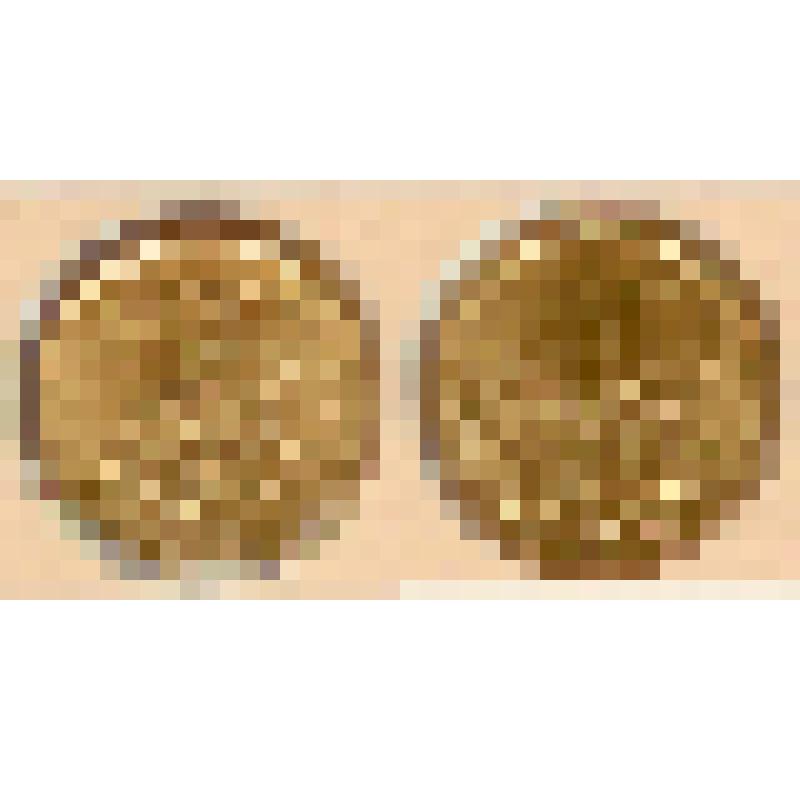 Монета. 10 копеек. Из альбома «ГУ Банка России по Саратовской области»