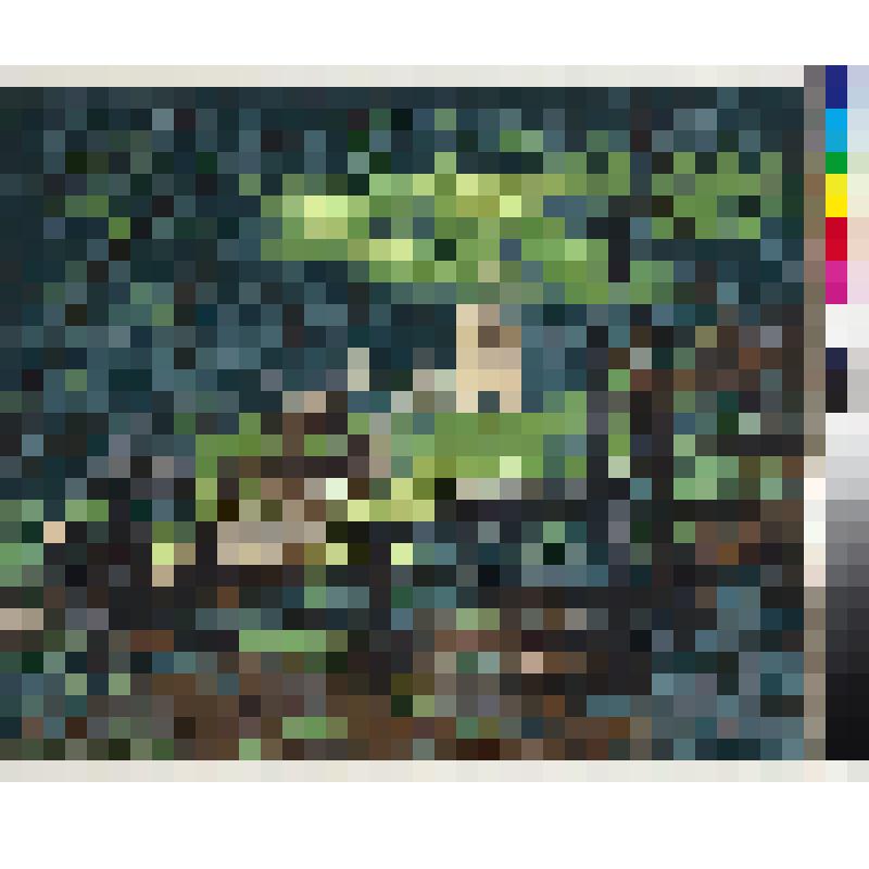 Лето, гравюра