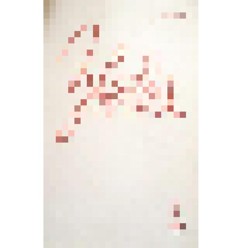Журнал. Звезда, № 12 (декабрь). 1986 г