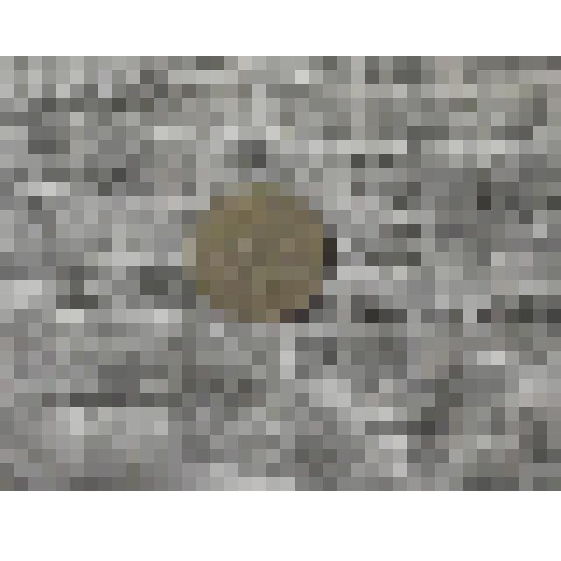 Монета. Две копейки