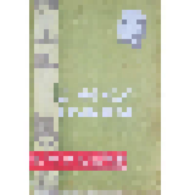 Грамота почётная коллектива Ново-Вознесенского отделения, занявшего второе место в соцсоревновании на весенне-полевых работах в 1969 году от дирекции, партийного и рабочего комитета Украинского совхоза