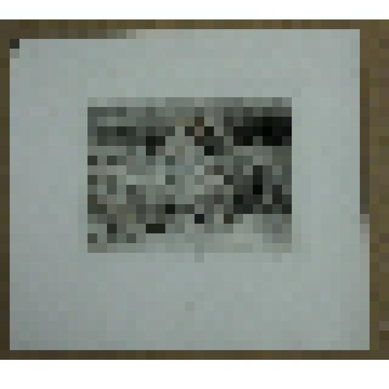 Графика "Звенигород. Иней"