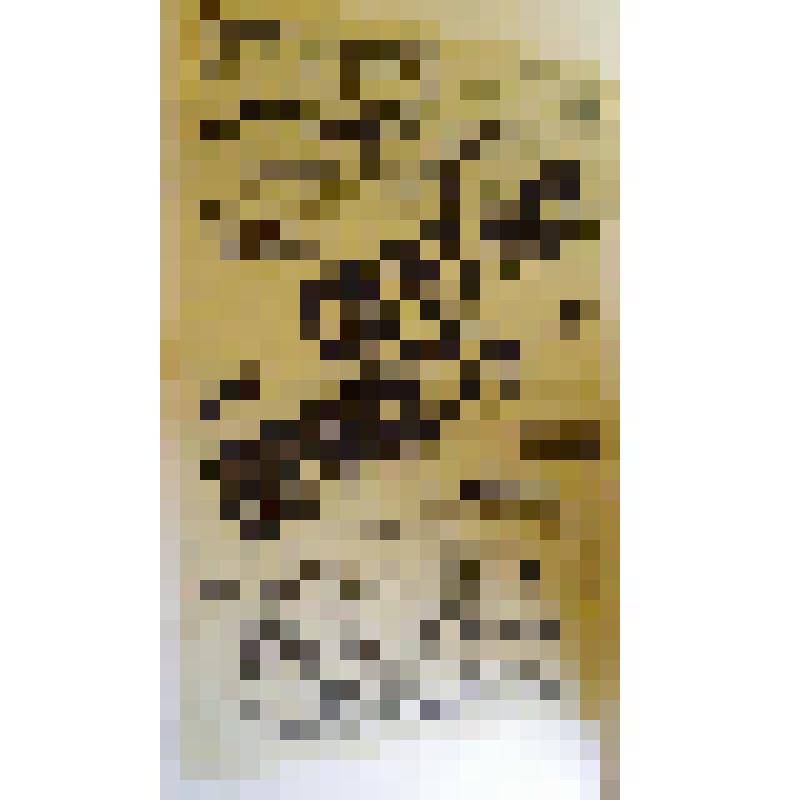 Афиша. "Светлая личность". Астрахань, Зимний театр наследников Н.И. Плотникова; Антреприза, Труппа русских драматических артистов под управлением Е.М. Долина