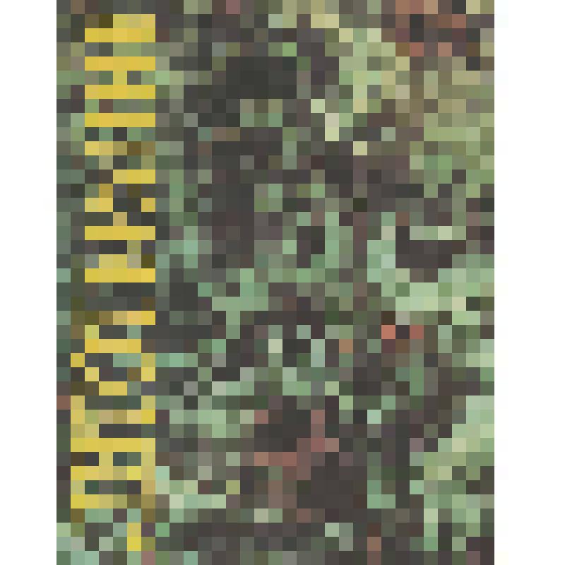 Книга  «Литотерапия. Лечение минералами»
